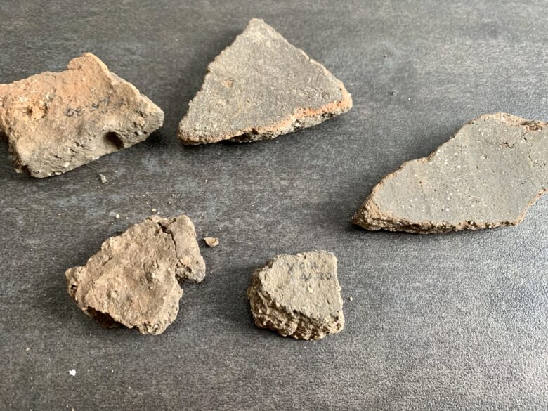 N005 - Neolithic Pottery Sherds (British Find)