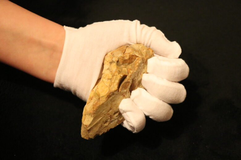 Palaeolithic pointed flint hand axe
