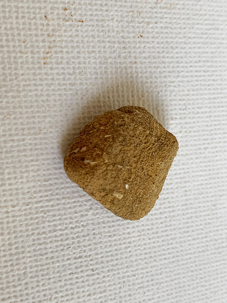 Neolithic Pottery Sherd