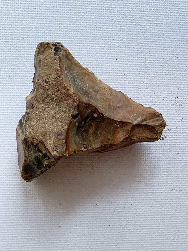 Mesolithic Borer