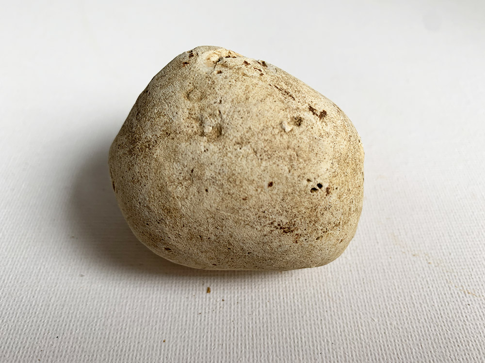 Small Neolithic Hammer-Stone