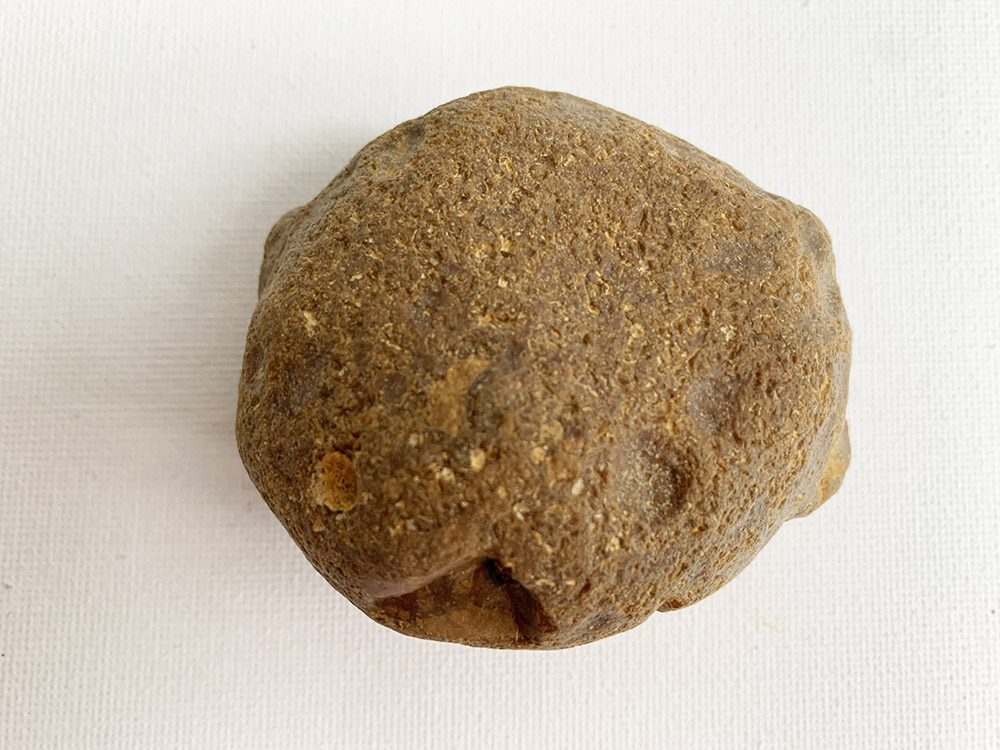 Neolithic Sharpening Tool