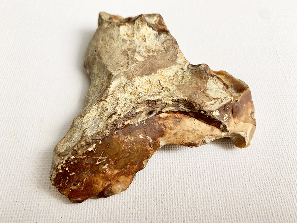 Mesolithic Tranchet Axe