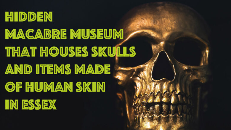 Shock! Unbelievable, Hidden Macabre Museum that houses skulls and items made of human skin in Essex
