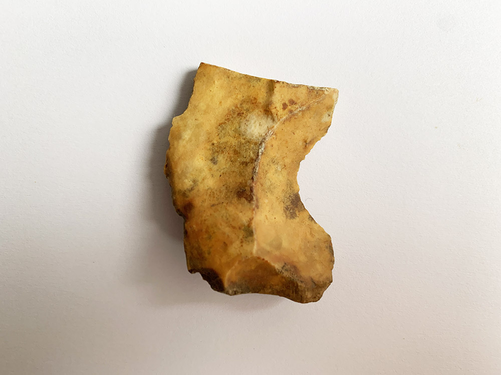 Small Mesolithic Hooked Blade