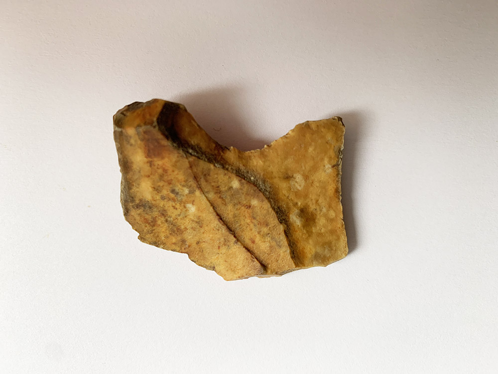 Small Mesolithic Hooked Blade
